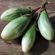 Aubergine Lay Yaw (Samen)