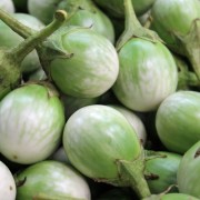 Aubergine Yhod Nam (Samen)