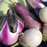 Auberginenmix (Samen)