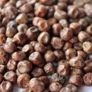 Palerbse Black Badger Carlin (Samen)