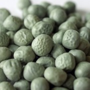 Palerbse Marrowfat (Samen)