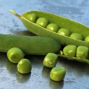 Markerbse Little Marvel (Samen)