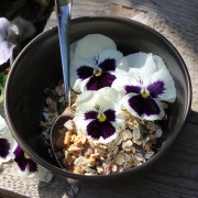 Stiefmütterchen Silverbride (Samen)