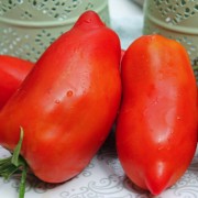 Tomate Alter Kommunist (Samen)