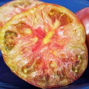 Tomate Ananas Noir (Samen)