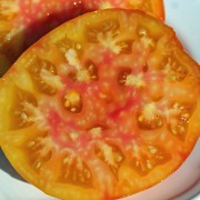 Tomate Big Rainbow (Samen)