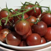 Tomate Black Cherry