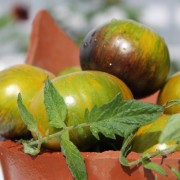 Tomate Blue Green Zebra (Samen)