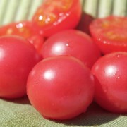 Tomate Brandywine Cherry (Samen)