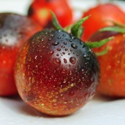 Tomate Dark Galaxy (Samen)