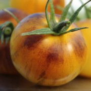 Tomate Edith Bernhard (Samen)