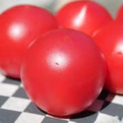 Tomate Faworyt (Samen)