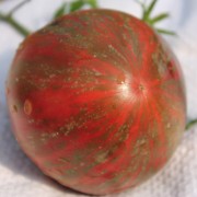 Tomate Fiolet Ciemny (Kozula 128) (Samen)