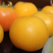 Tomate Garden Peach (Samen)