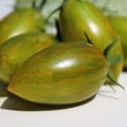 Tomate Green Tiger (Buschtomate) (Pflanze)