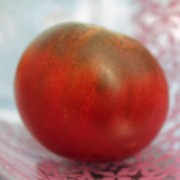 Tomate Haley's Purple Comet (Samen)