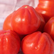 Tomate Japanische Trüffel (Samen)