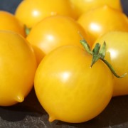 Tomate Nebolshoy Limon (Zwergtomate) (Samen)