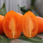 Tomate Olivine orange (Samen)
