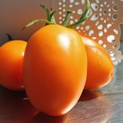 Tomate Orange Icicle (Samen)