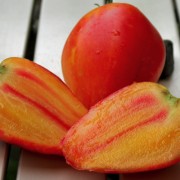 Tomate Orange Russian