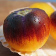 Tomate Pansy Ap (Samen)