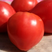 Tomate Pink Oxheart (Samen)