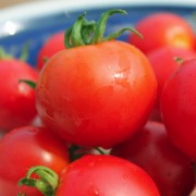 Tomate Polarnye (Zwergtomate) (Samen)