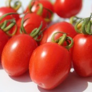 Tomate Principe Borghese (Samen)