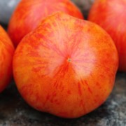 Tomate Red Zebra (Samen)