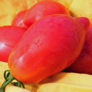 Tomate Rosovij perzevidnij (Rosa Paprikaförmige) (Samen)