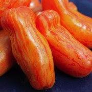 Tomate Scherkan (Samen)