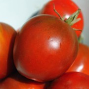 Tomate Schwarze Swetlana (Samen)