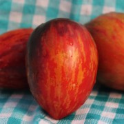 Tomate Shadow Boxing (Samen)