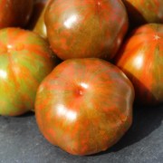 Tomate Spike (Buschtomate) (Samen)