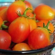 Tomate Submarine Blush (Samen)