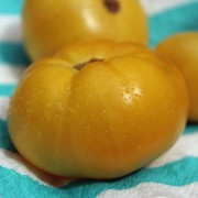 Tomate Summertime Gold (Buschtomate) (Samen)