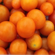 Tomate Sungold Select (Samen)