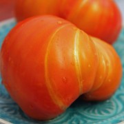 Tomate Tennessee Surprise (Samen)