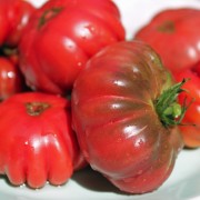 Tomate Tim's Black Ruffles (Samen)