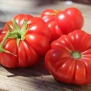 Tomate Treffle du Togo (Samen)