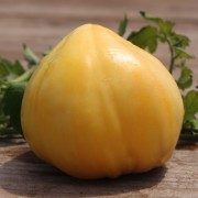 Tomate Weiße Ochsenherz (Samen)