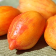 Tomate Yellow Fire (Samen)