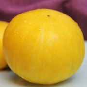 Tomate Yellow Fury Boar (Samen)