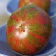 Tomate Zebra Picante  (Samen)