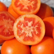 Tomate Zlatava (Samen)