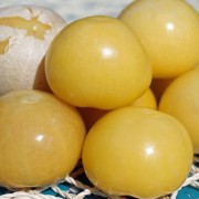 Tomatillo Amarylla (Samen)