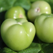 Tomatillo Marmeladny (Samen)