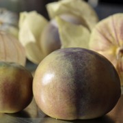 Tomatillo Purple Coban (Samen)