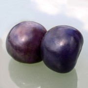 Tomatillo Purple de Milpa